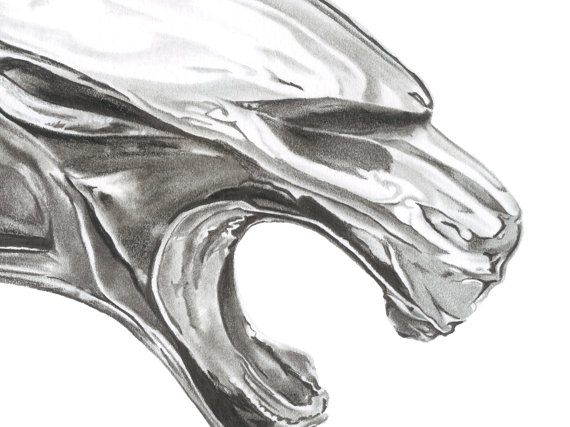 Detail of Leaping Jaguar: the chrome jaguar head, graphite drawing by Chris Schain